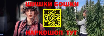 прущие крисы Кингисепп