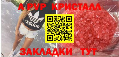 прущие крисы Кингисепп