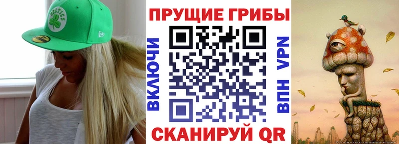 Галлюциногенные грибы мицелий  ссылка на мегу ТОР  Конаково 